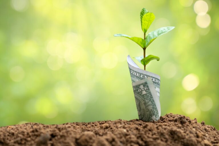 Why we're seeing so many seed-stage deals in fintech