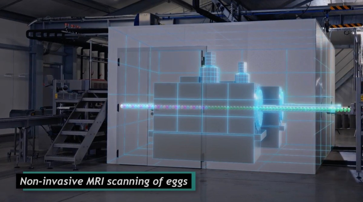 AI revolutionizing MRI scans — A Munich startup banked $32M to scan eggs, and says humans are next | TechCrunch