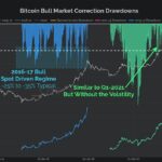 Bitcoin bull market drawdowns