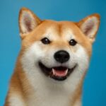 Dogecoin Whales Buy $112 Million Worth Of DOGE