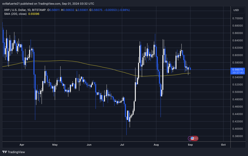 XRP holding above the 1D 200 MA.