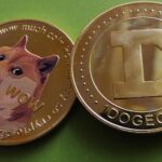 Dogecoin Active Addresses Skyrocket To Highest Level In 8 Months