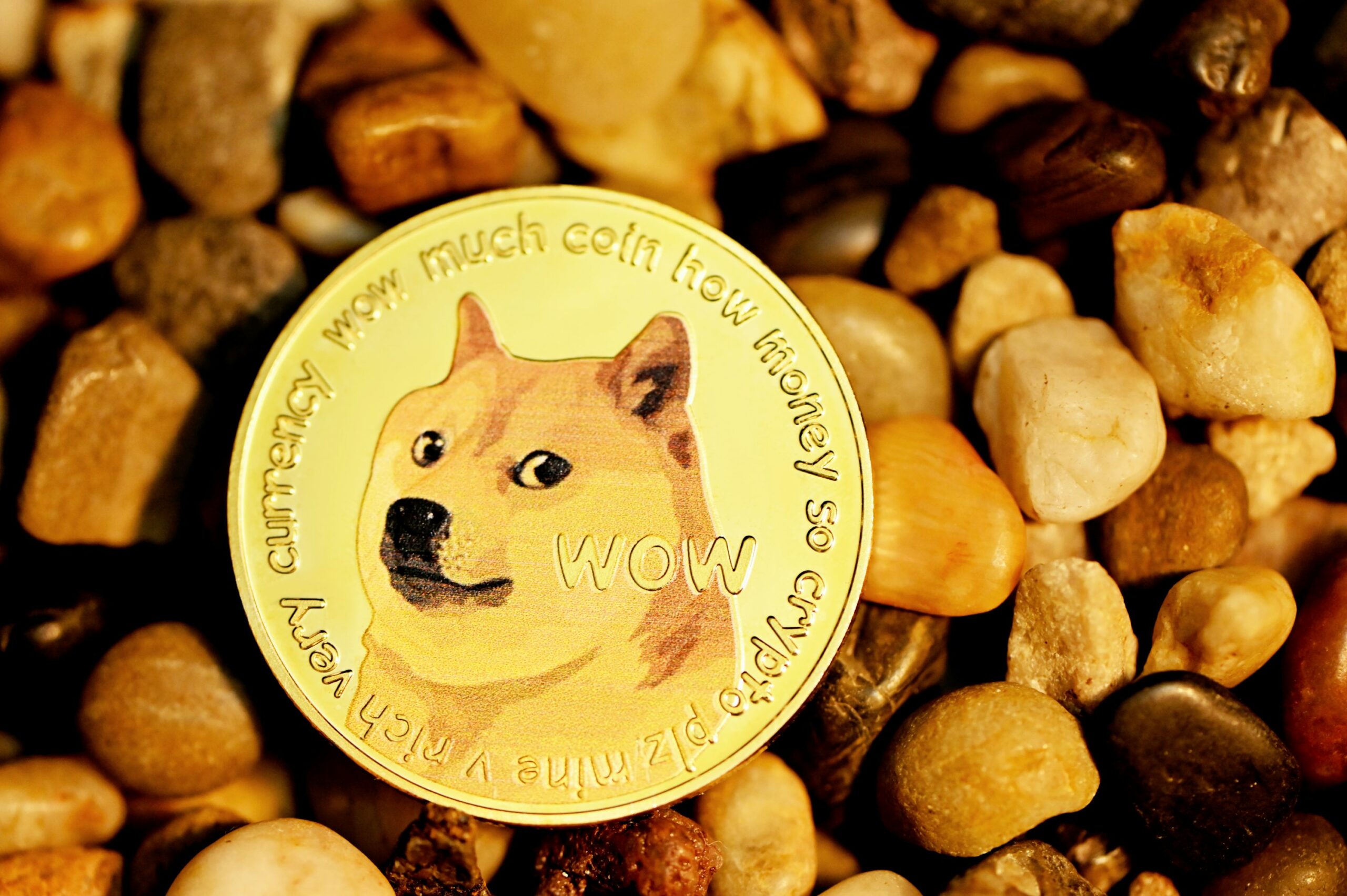 Dogecoin Price Rally Gains Momentum, Will DOGE Smash Through $0.18?